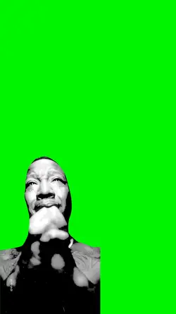GREENSCREEN MEME 
