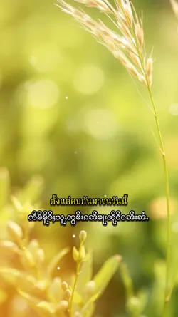 သူမီးႁဝ်းဝႆႉႁဵတ်းသင်