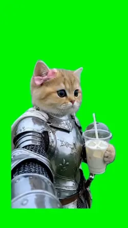 Knight princess 
