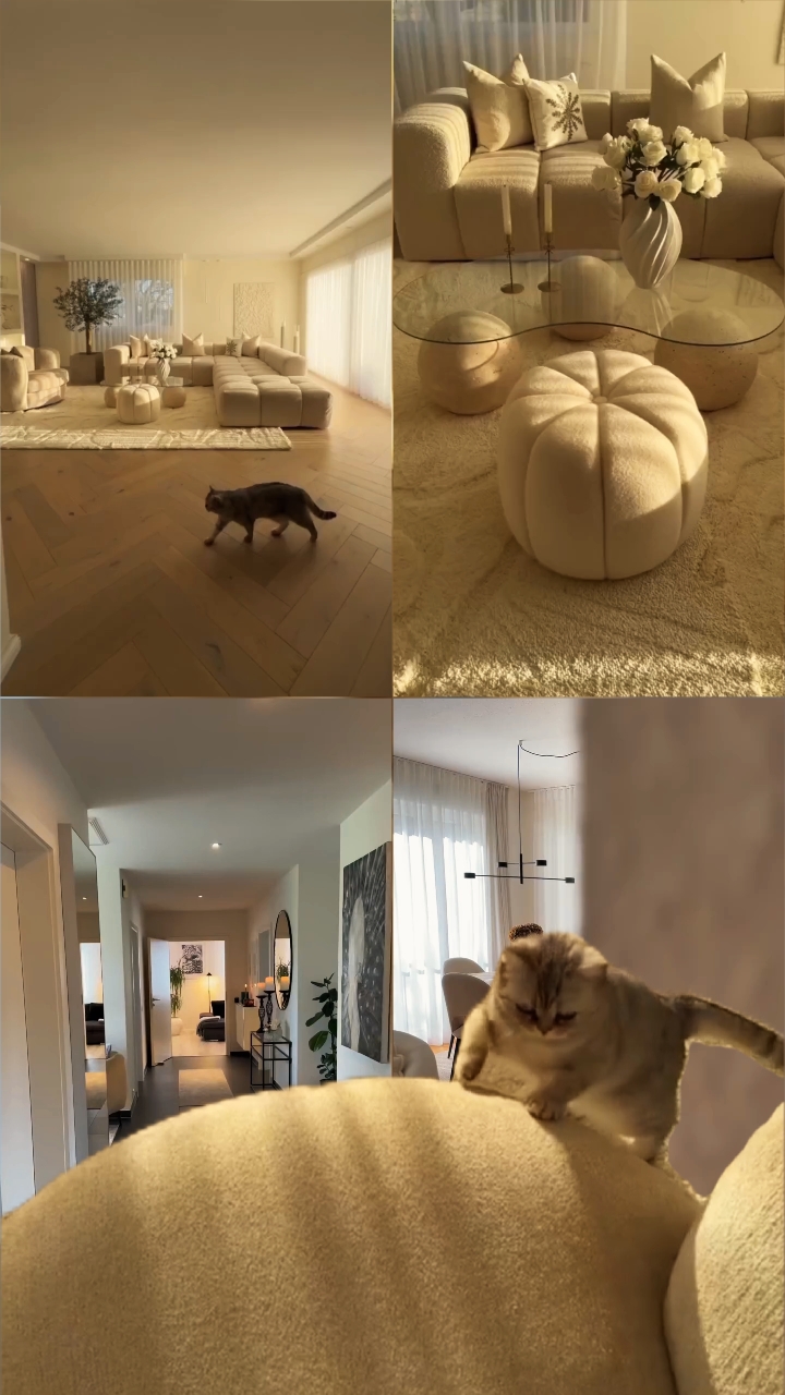 Passeio pela casa