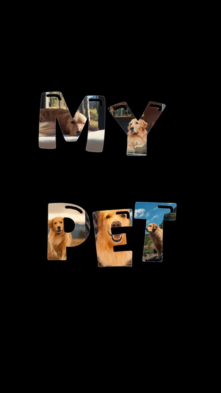 내 애완 동물