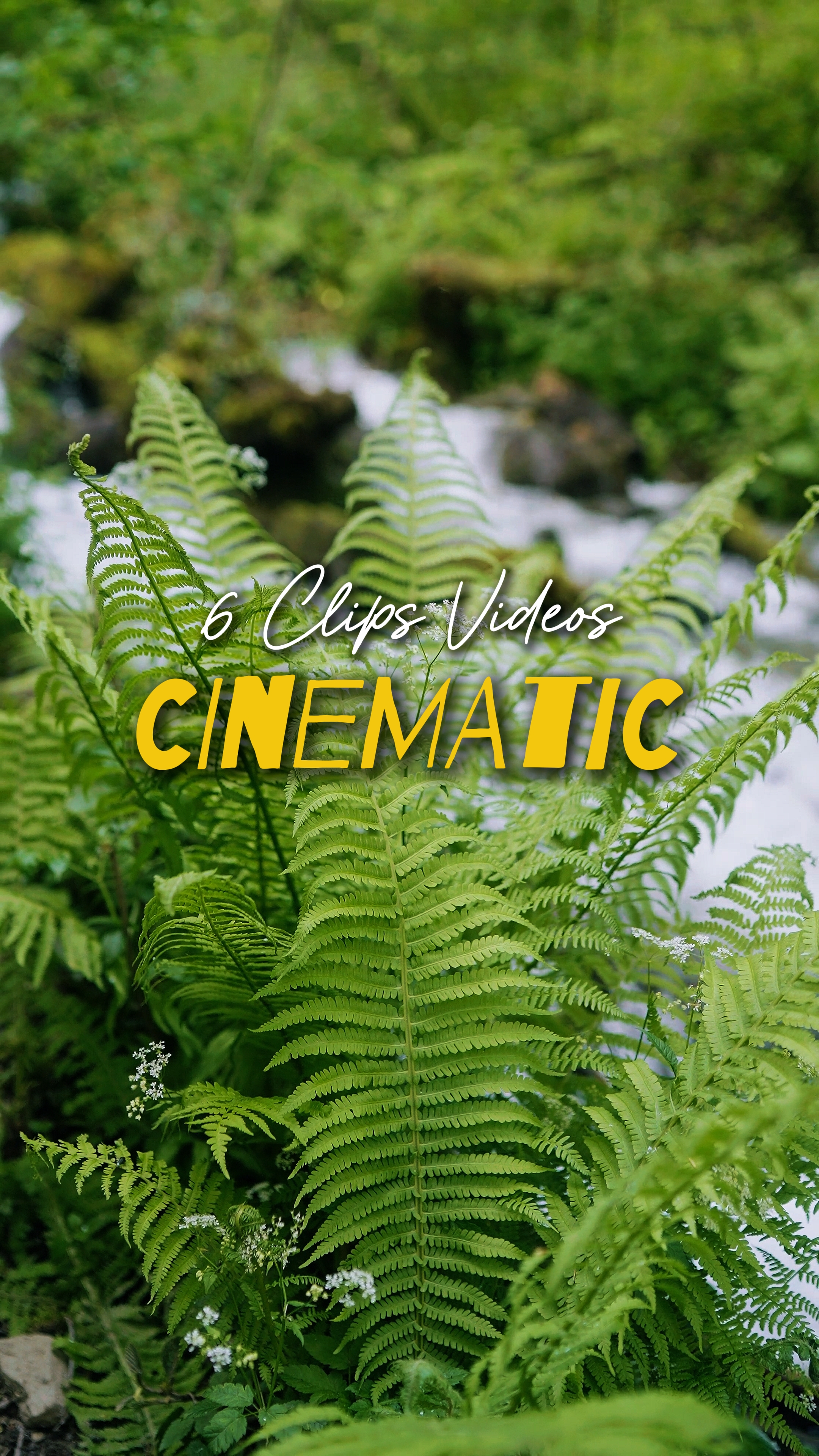 Cinematic 6 Videos