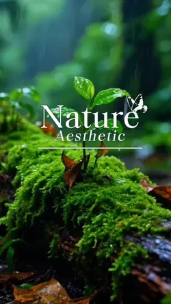 Nature Aesthetic