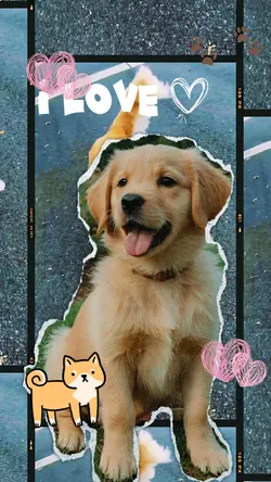 Pet Cutout 