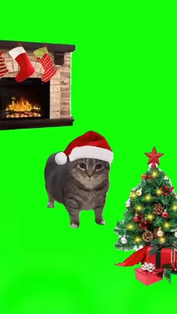 Feliz UIA Cat