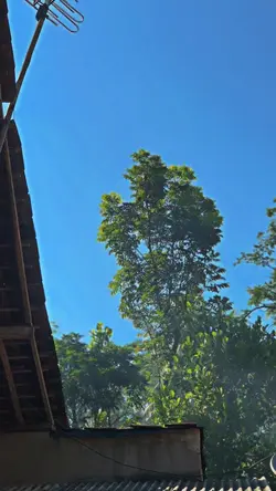 1VIDEO+HDR