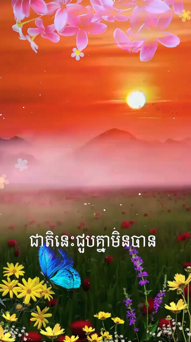 ជាតិនេះស្នេហ៍យើង