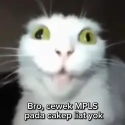 My bini template