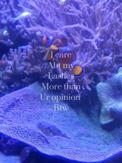 βοΈπ