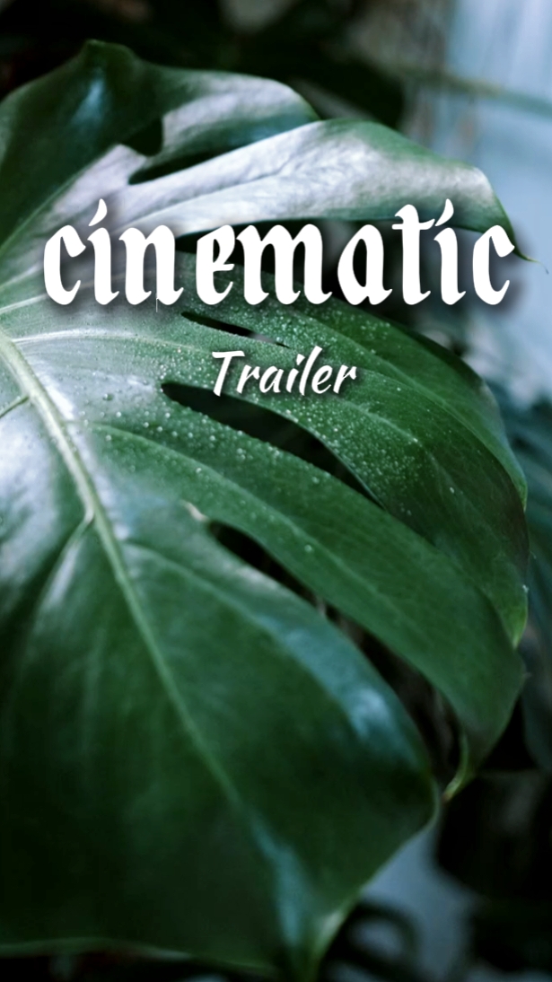 Filmischer Trailer