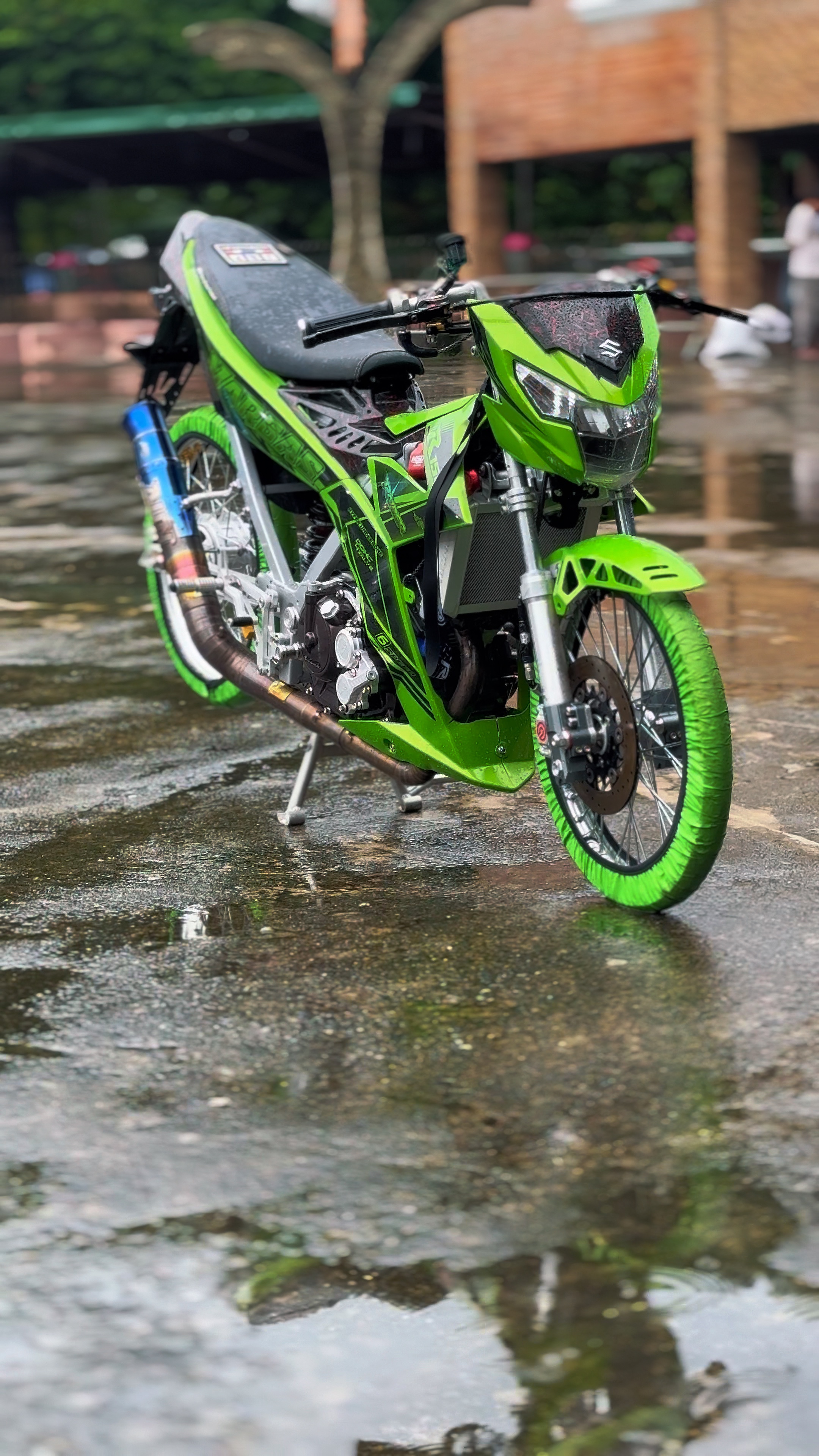 Cover Picture