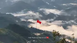 Việt Nam có một lá