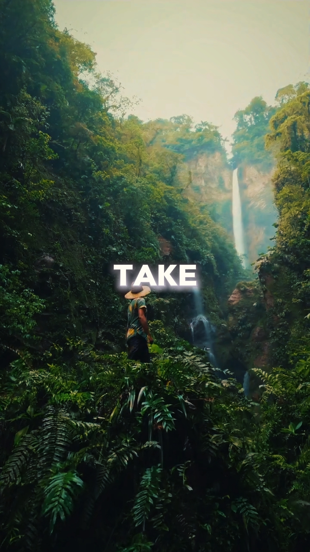 Take Me To