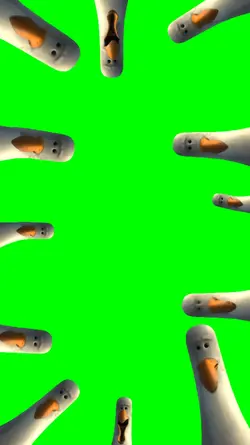 Finding Nemo Seagull