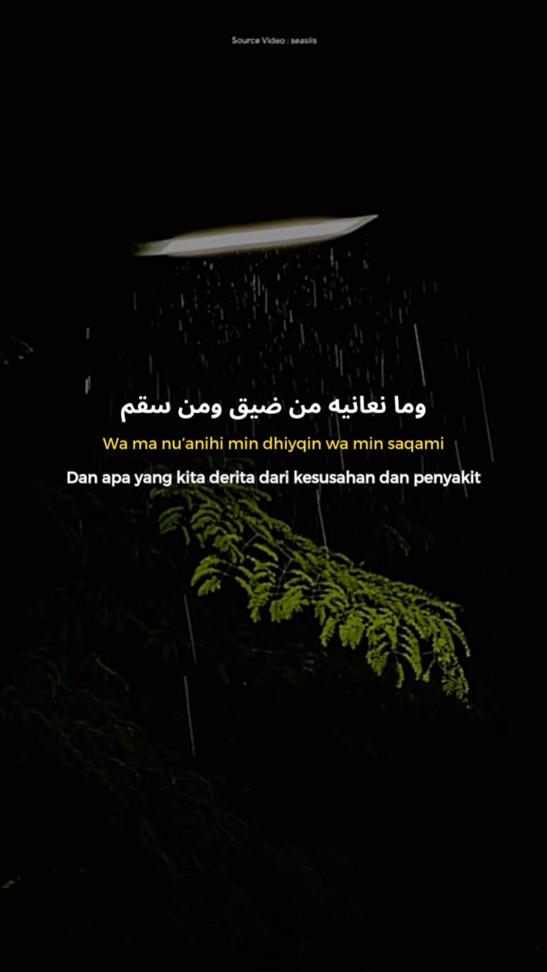 Nasheed