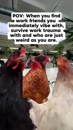 When you find work