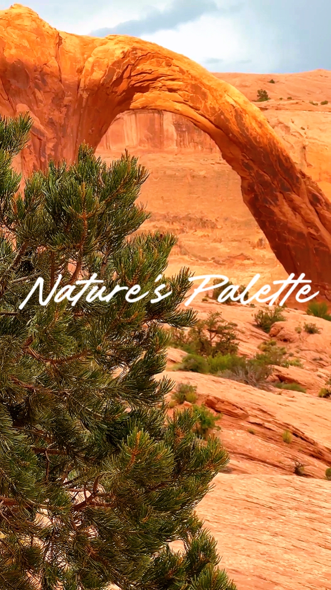 La palette de la nature