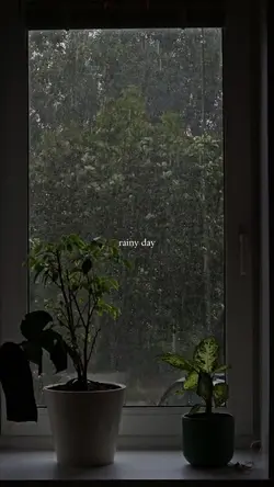 rainy day