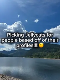 Jellycats😘