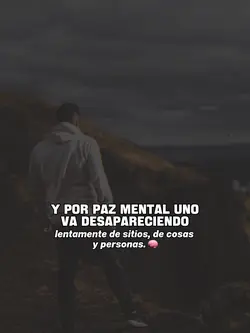 Por paz mental 🧠