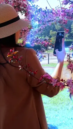 Flower festival