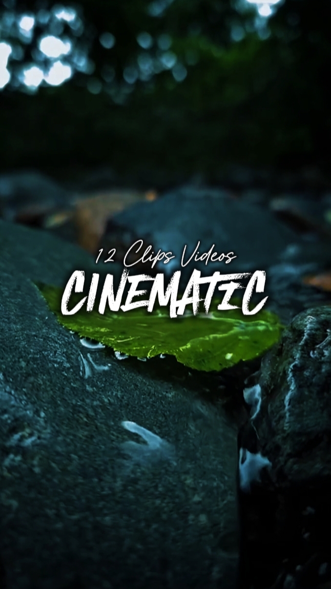 12 Clips Cinematic