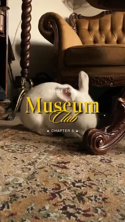 Museum Videos