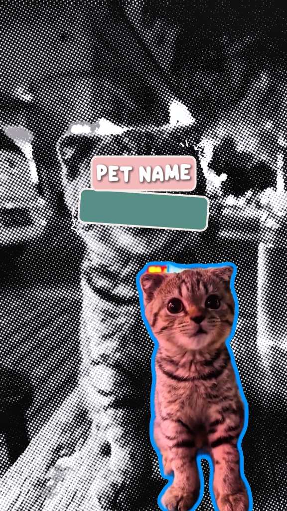 PENDAHULUAN PET