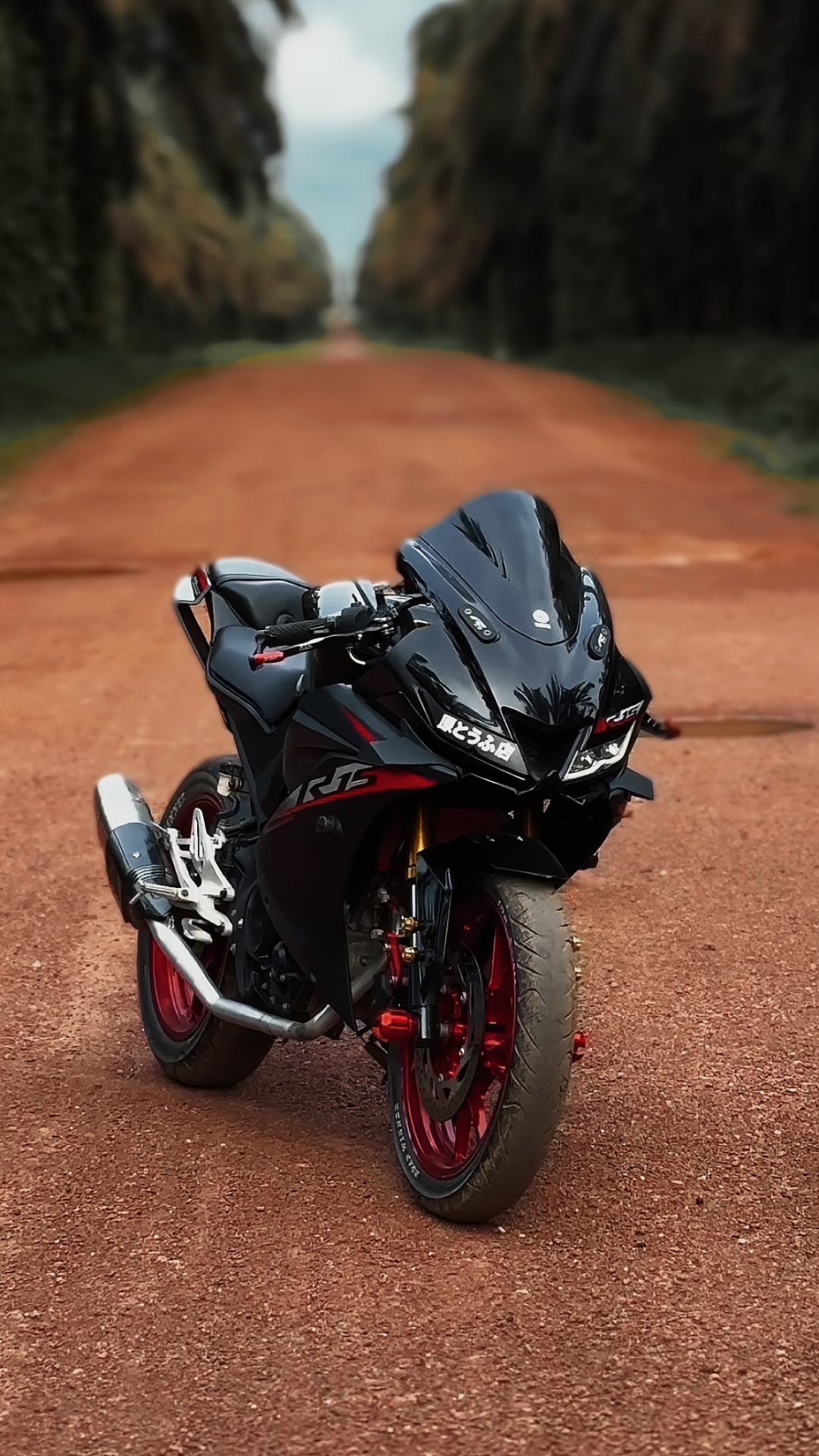 Cover Picture