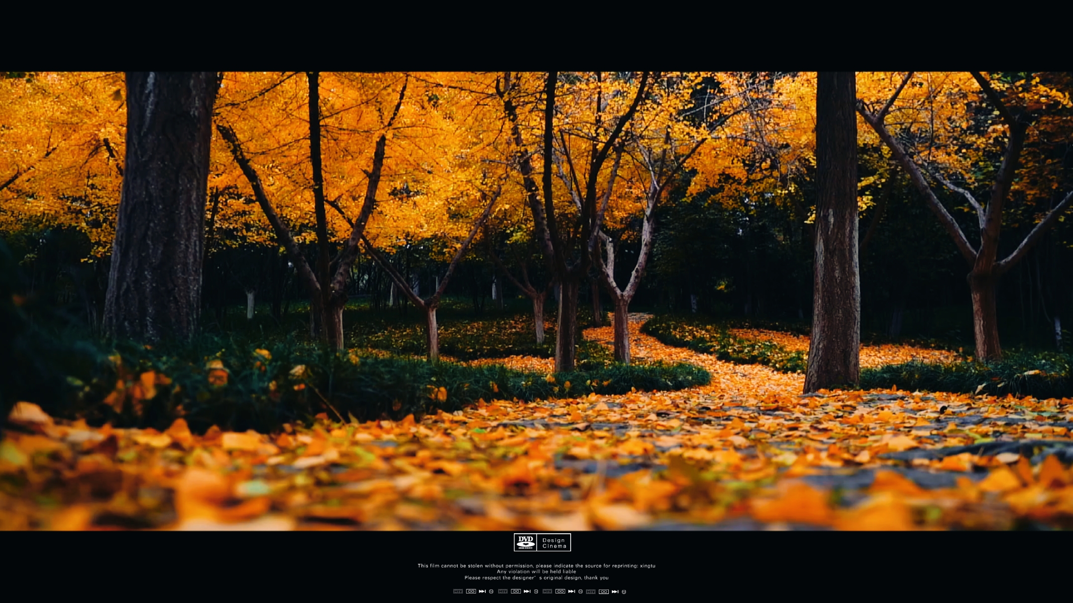 autumn aesthetic 