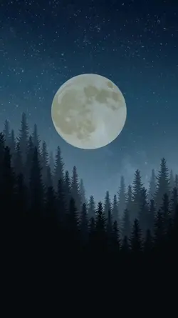 Before You Sleep