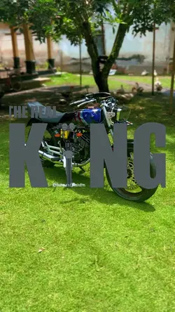 Rx king template