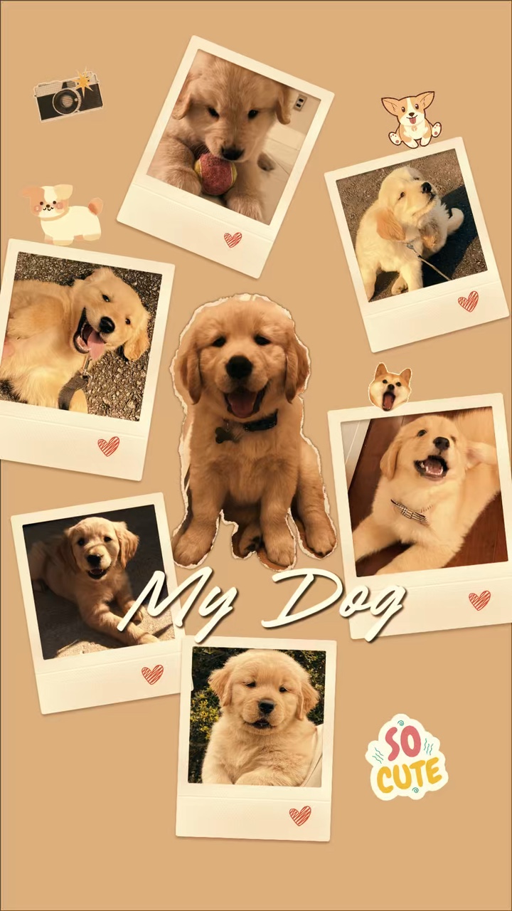 My dog 