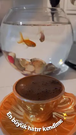 Kahve story coffee