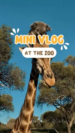 zoo