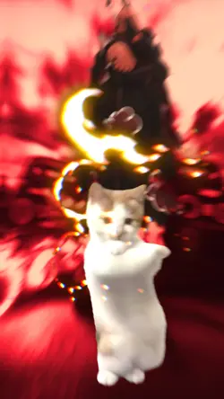 Terbayang bayang kam