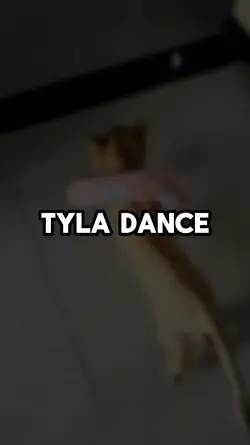 Tyla Dance Template