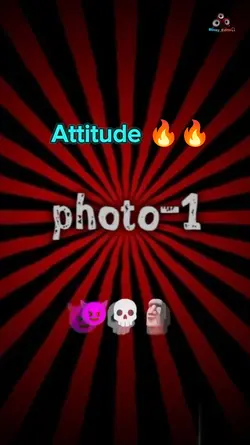 PRO EDITZ MASTER