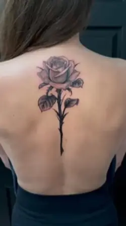 A rose in black&grey