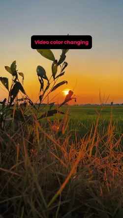 Video color changing