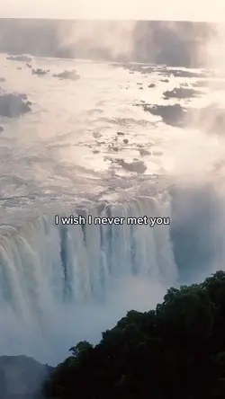 I wish I never met u