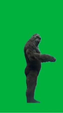 Kong
