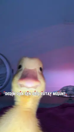 Sen Oruç tutuyor ???