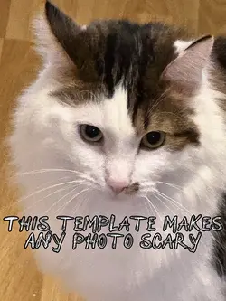 Scary photo trend