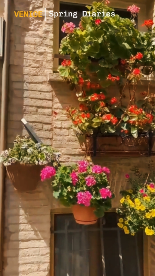 Spring in Venice