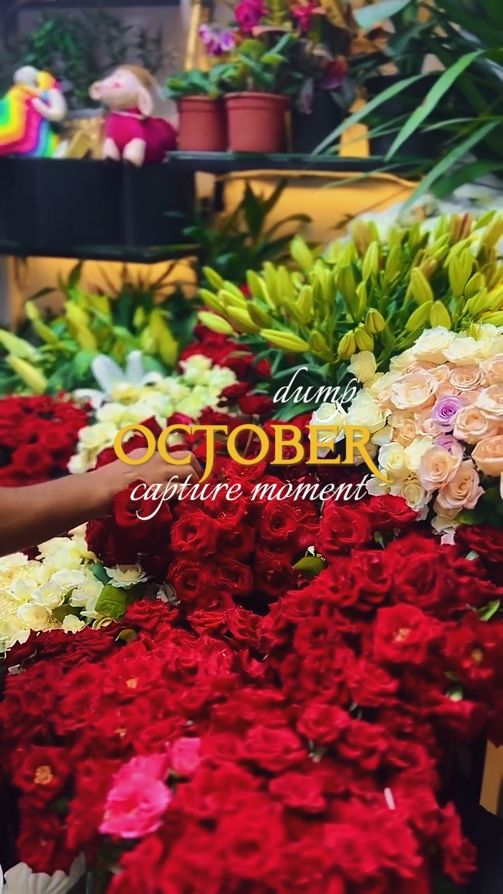 Oktober-Dump 