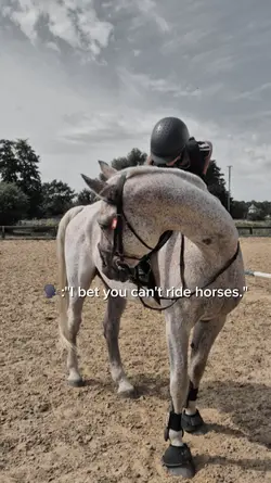 horses