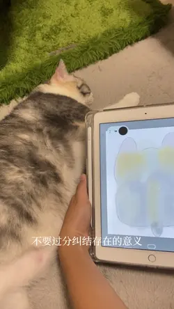 嗜好+ 張凌赫語錄1.1倍變音調