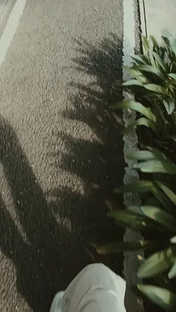 slowmotion
