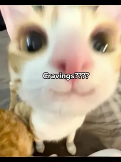 Cravings